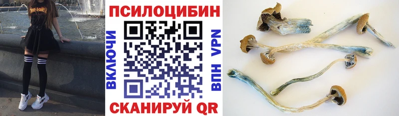блэк спрут ссылка  Мичуринск  Галлюциногенные грибы MAGIC MUSHROOMS 