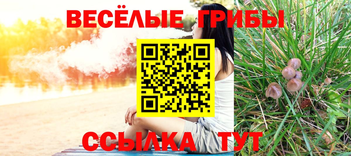 Кетамин  МАРИХУАНА  Мичуринск  Экстази  Вход с VPN  Мефедрон   Гашиш  КОКАИН  МЕТАМФЕТАМИН  Гашиш 