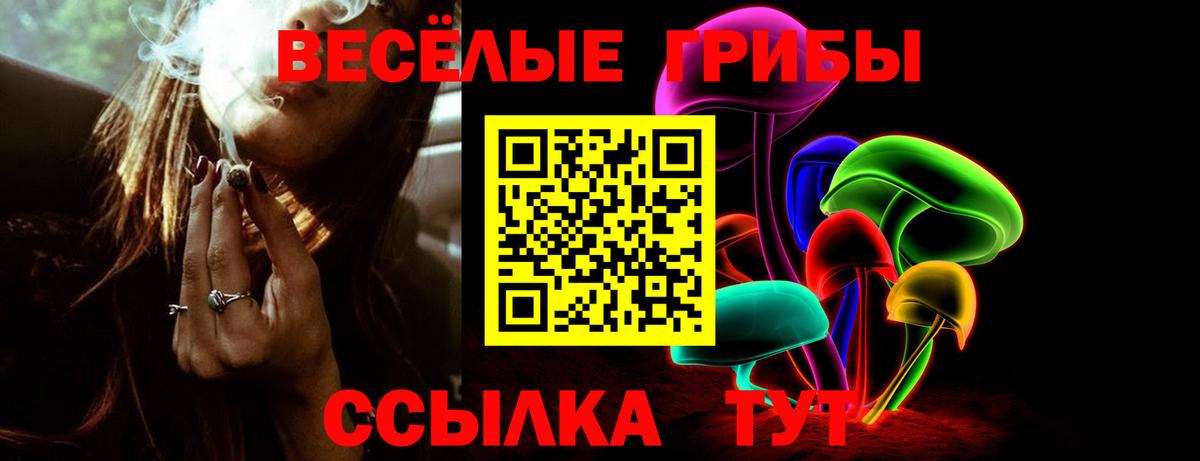 Псилоцибиновые грибы GOLDEN TEACHER Мичуринск